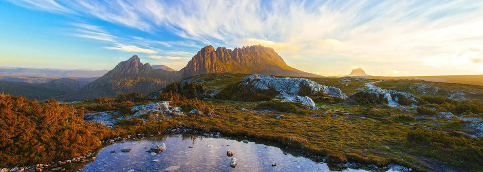 Christmas Gift Hampers with Aussie Flair: A Guide to Holiday Gifting Down Under