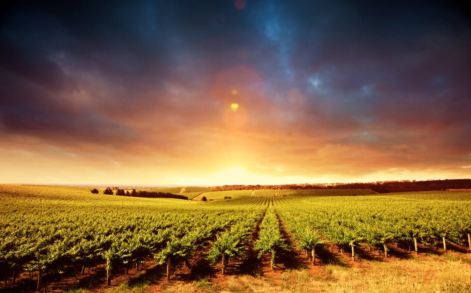 A Journey Through Australia's Enchanting Wine Regions - The Hamper Boutique Co